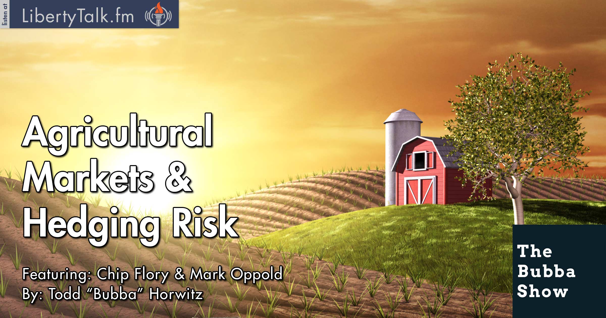 Agricultural Markets & Hedging Risk - The Bubba Show