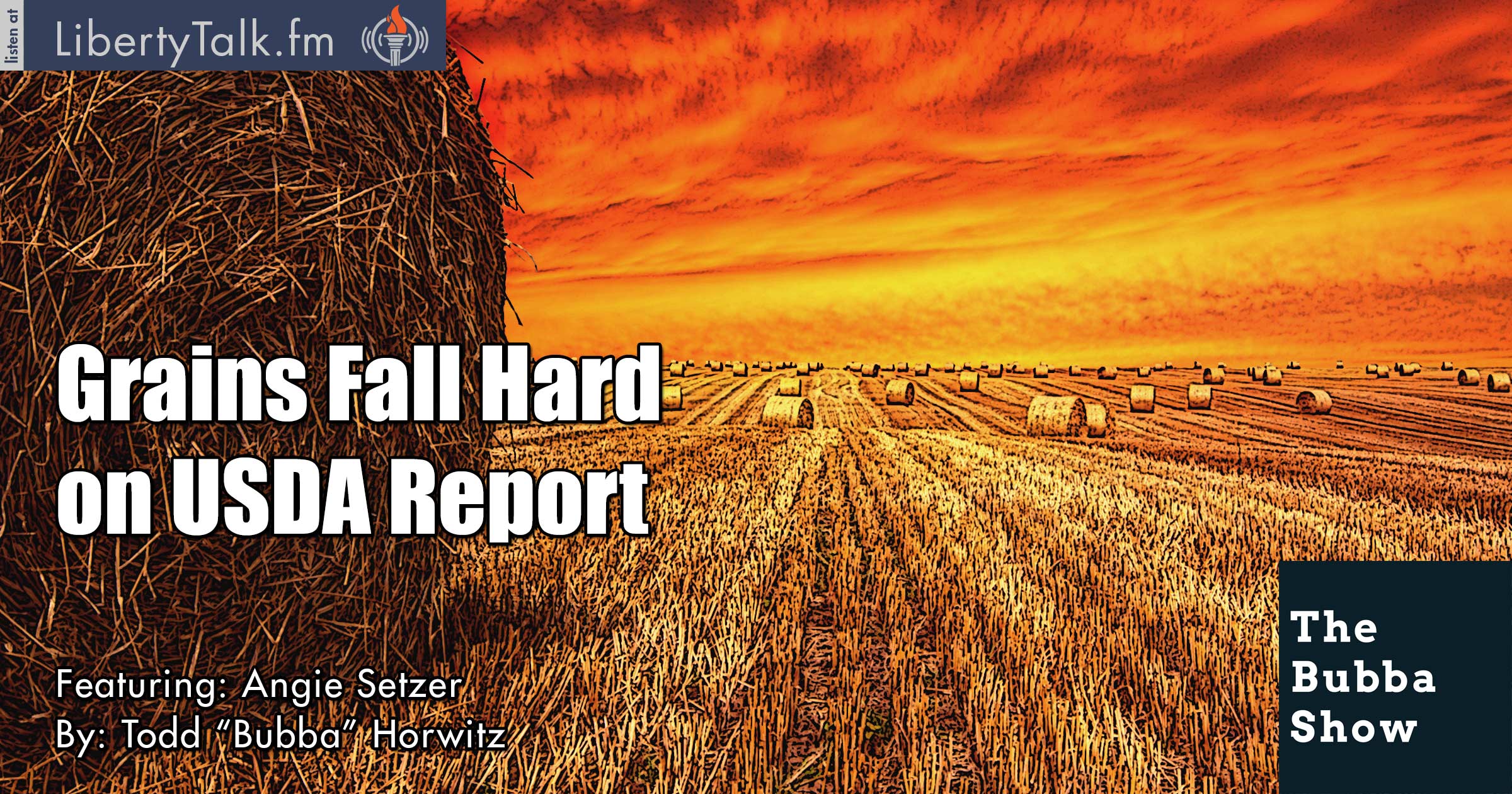 Grains Fall Hard on USDA Report - The Bubba Show