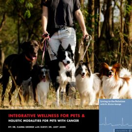 Dr. Jusy Jasek owner of Animal Healing Arts speaks to Dr. Elaina George about integrative wellness and holistic modalities to keep pets cancer free.