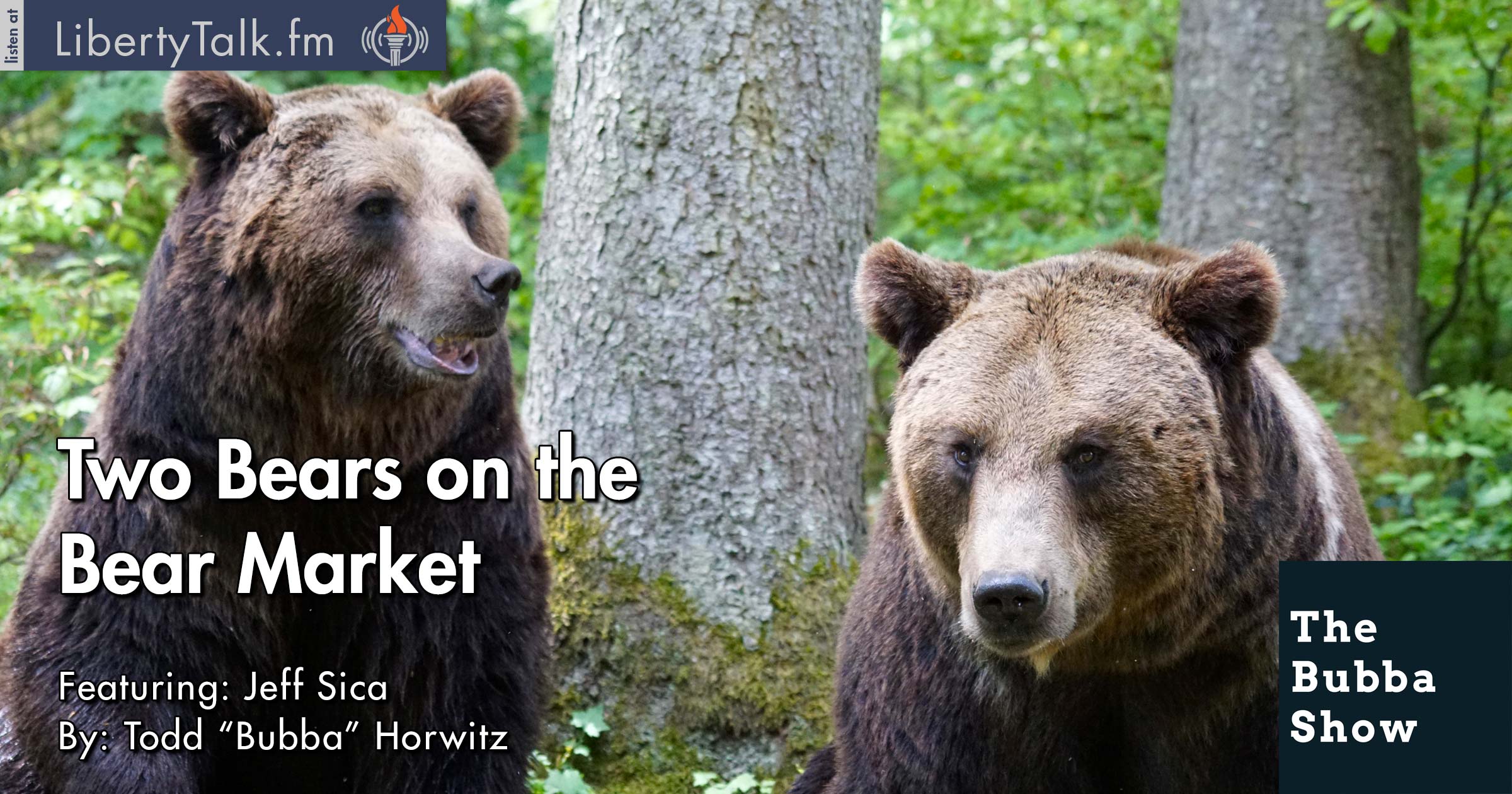 Two Bears on the Bear Market The Bubba Show