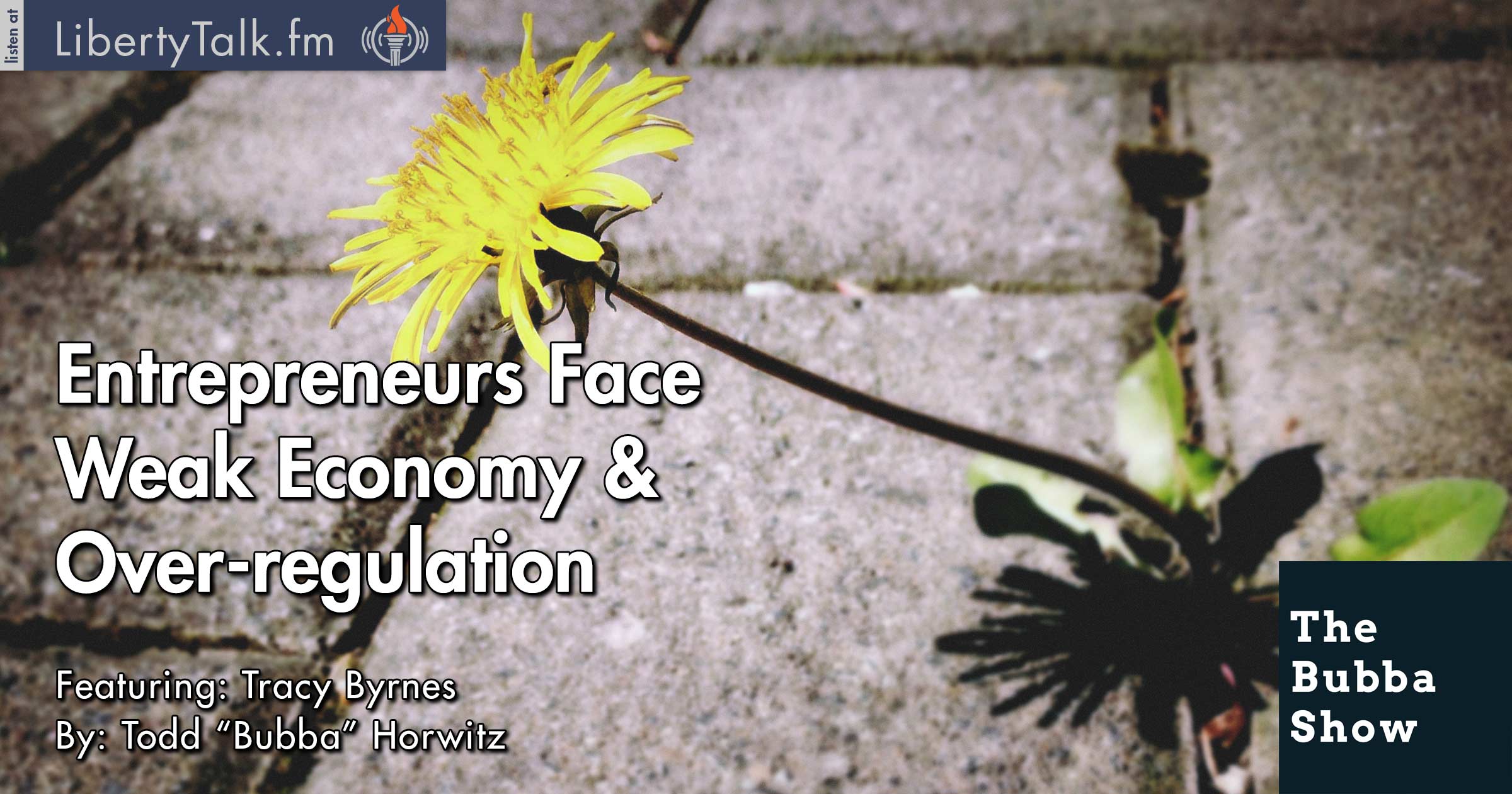 Entrepreneurs Face Weak Economy & Over-regulation - The Bubba Show