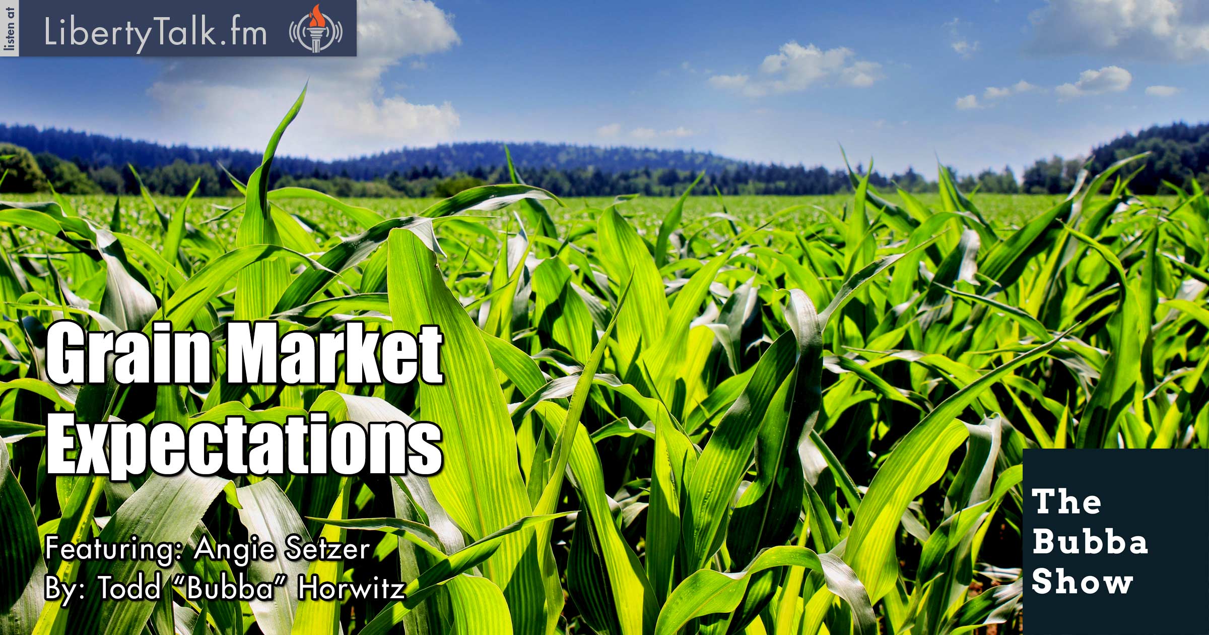 Grain Market Expectations - The Bubba Show