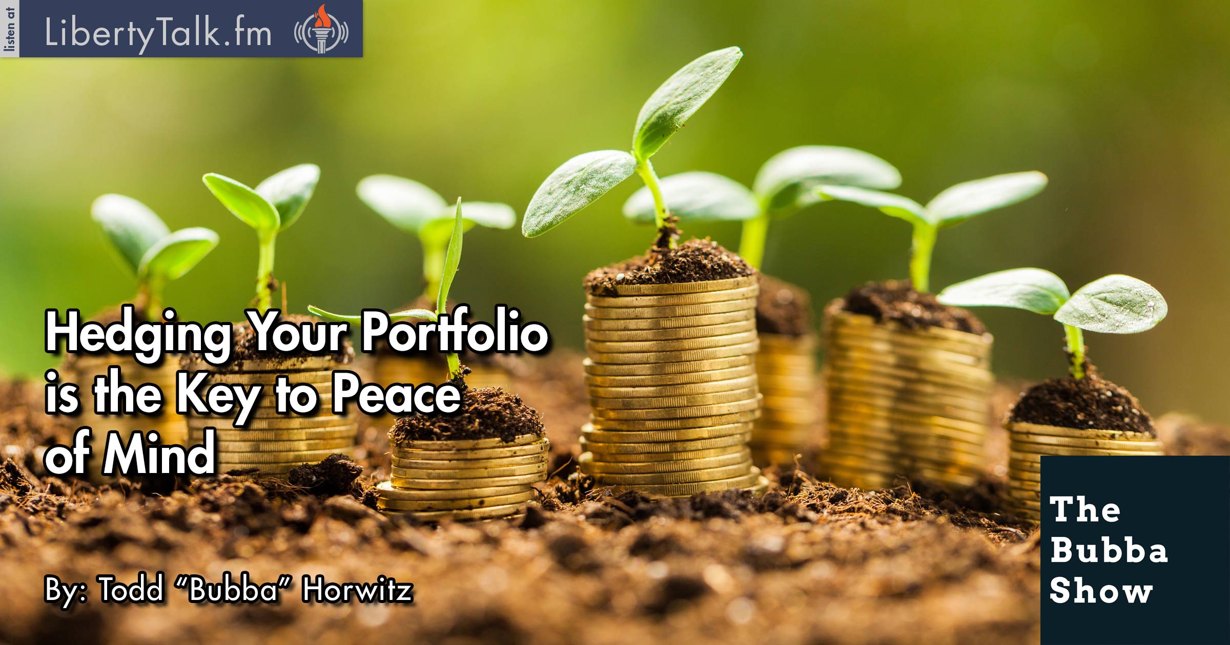 Hedging Your Portfolio is the Key to Peace of Mind Bubba Show