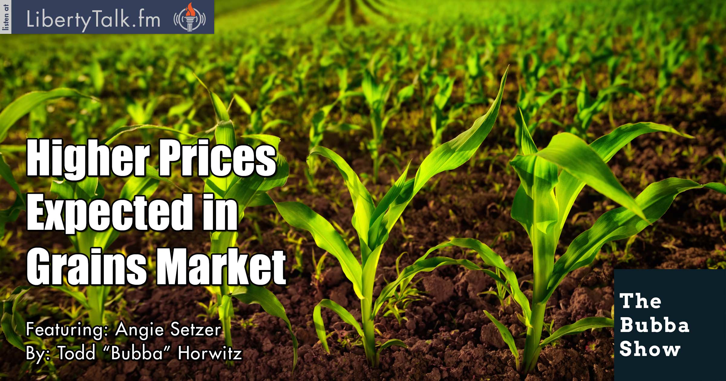 Higher Prices Expected in Grains Market