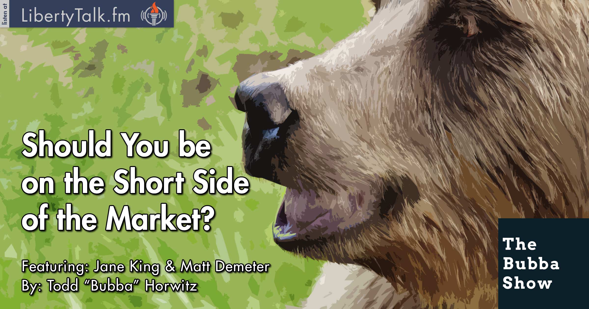 Should You be on the Short Side of the Market? - The Bubba Show