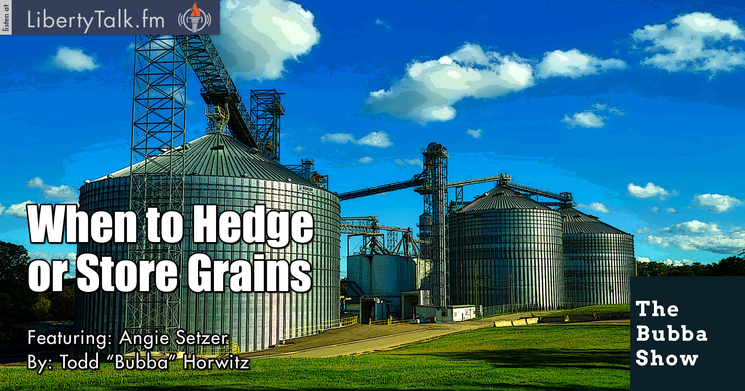 When to Hedge or Store Grains - The Bubba Show