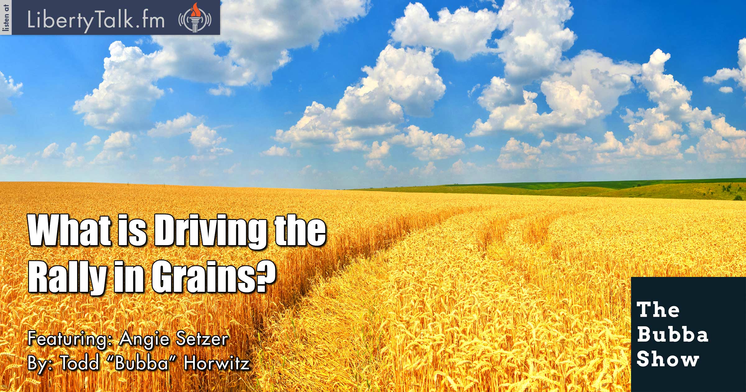 What is Driving the Rally in Grains?
 - The Bubba Show